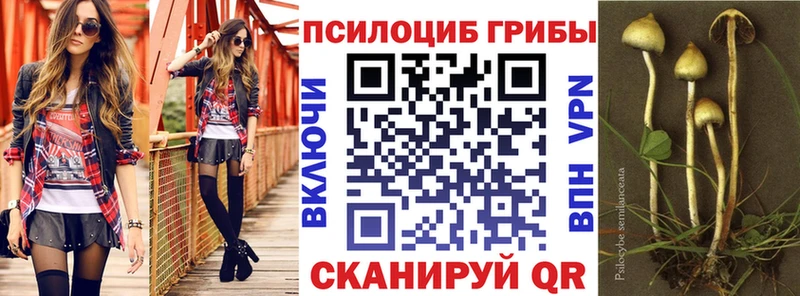 Псилоцибиновые грибы GOLDEN TEACHER  что такое   Новомичуринск 