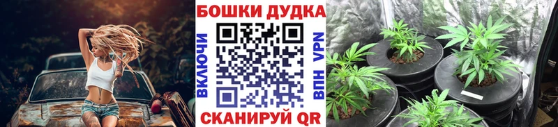 где можно купить наркотик  Новомичуринск  МАРИХУАНА MAZAR 